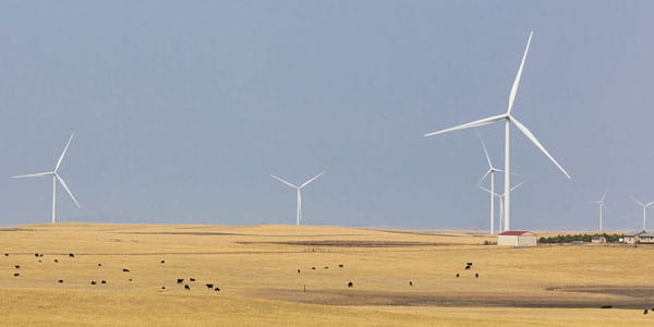 Six land-based wind turbines on a field with grazing animals at one of Ørsted's onshore projects delivering clean energy.