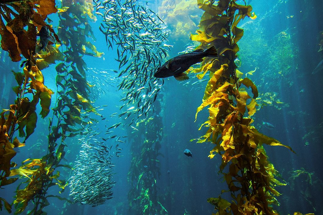 rsted tw Love Your Home rsted-tw-love-your-home