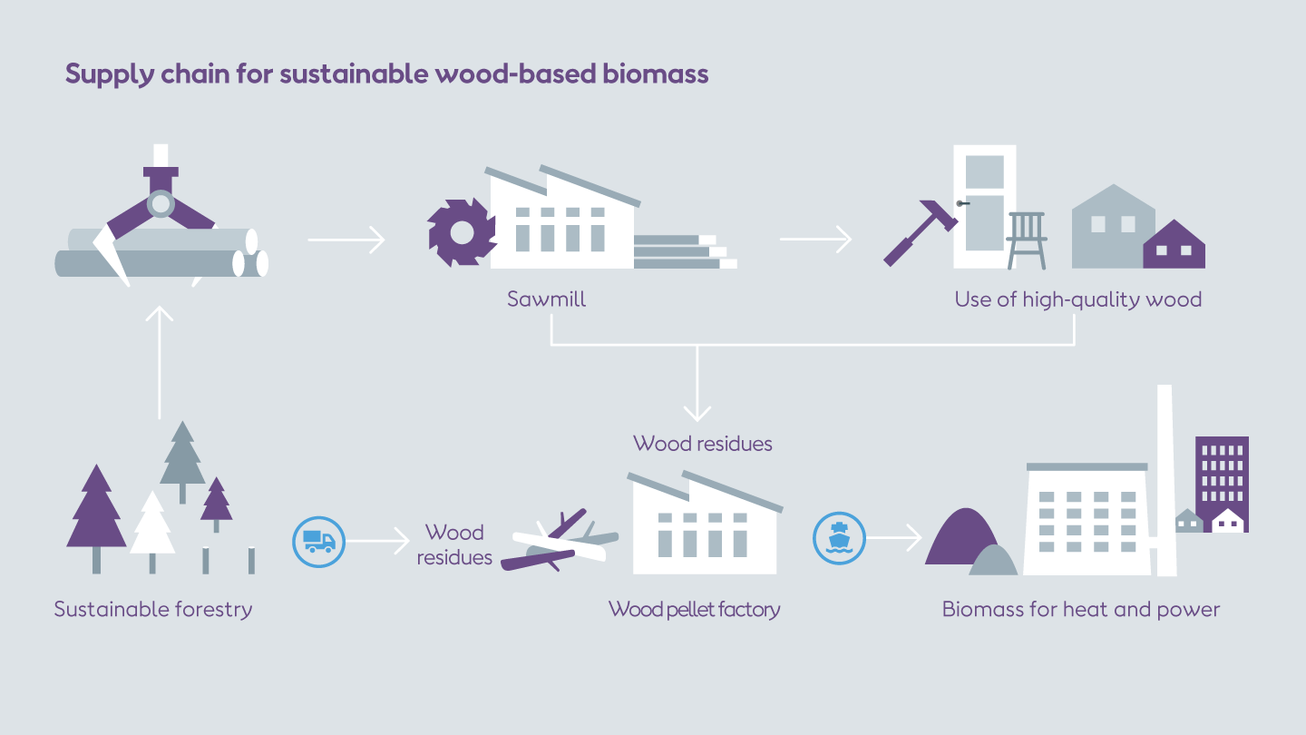 Graphic displaying the supply chain for the production of sustainable wood-based biomass.