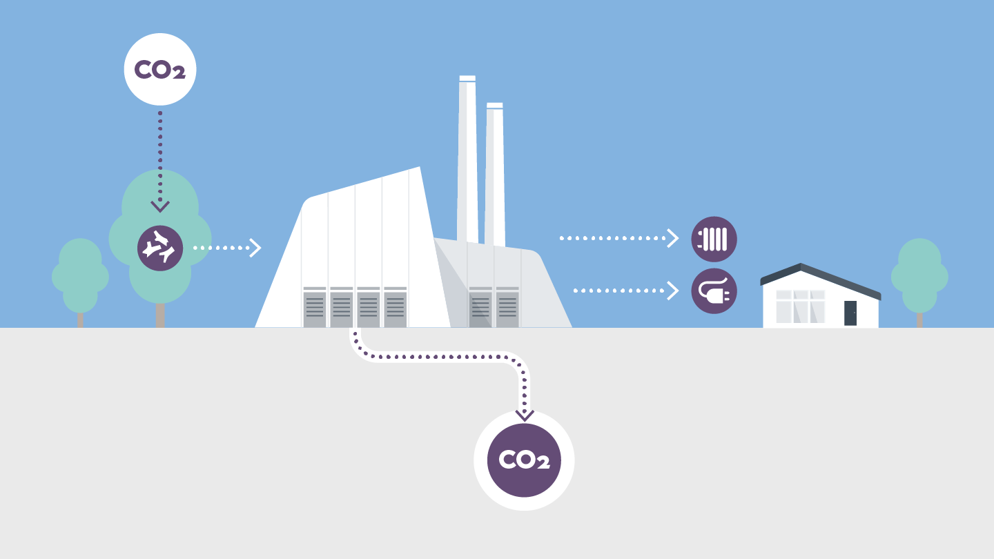 The carbon removal process in a simple infographic