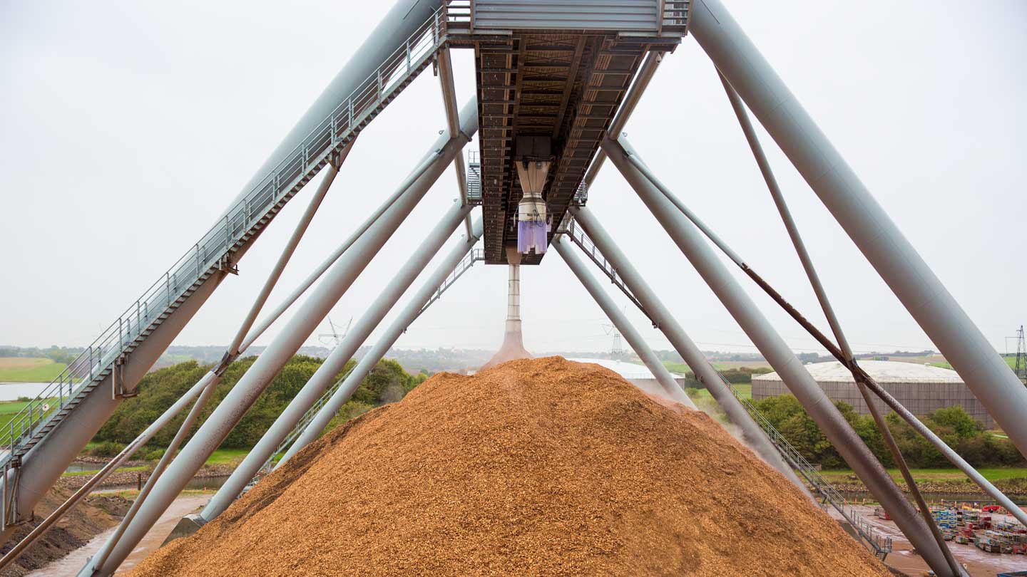 Biomass wood pellets below an assembly line.