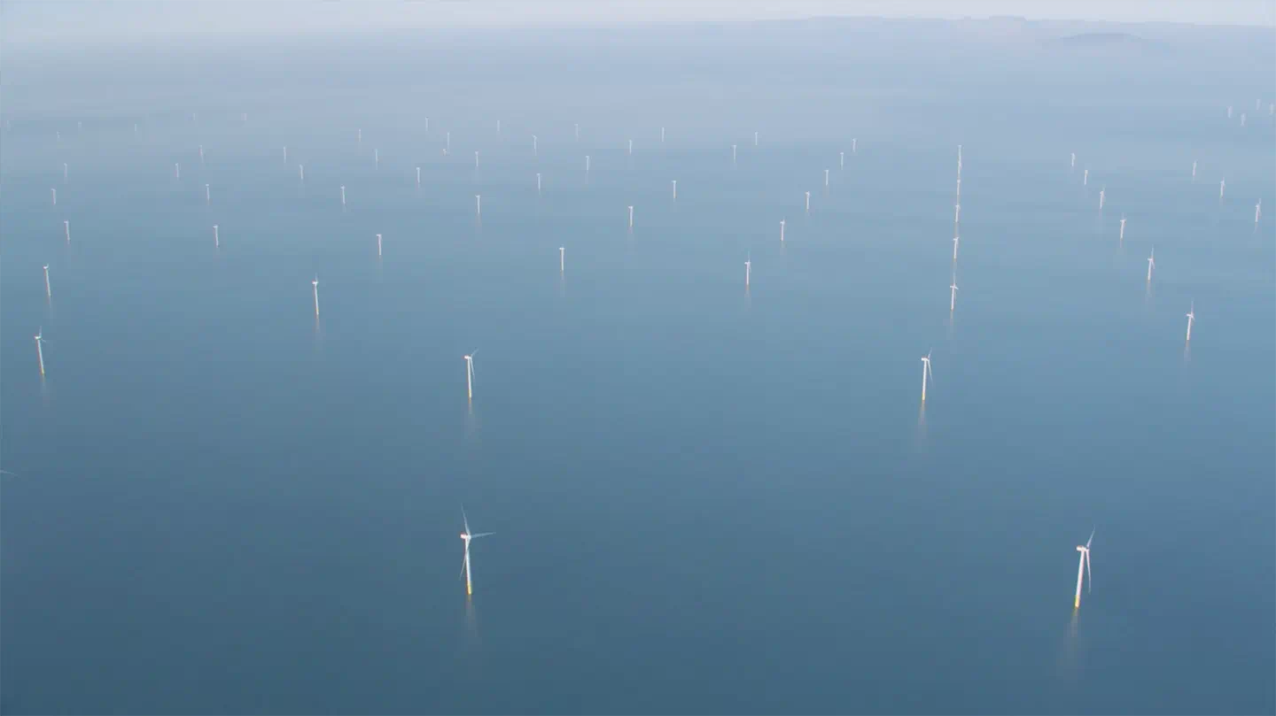 Full view of an offshore wind farm