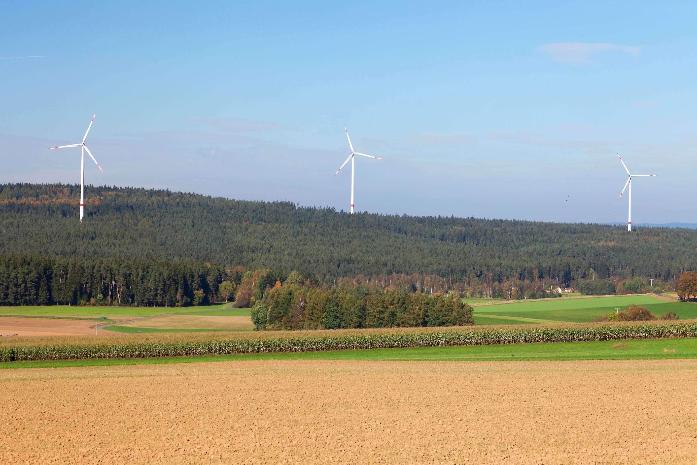 Die ZENOB und Ørsted haben in der Region bereits Windparks gemeinsam realisiert – zum Beispiel den Windpark Blausäulenlinie. Foto: Grabe/Ørsted