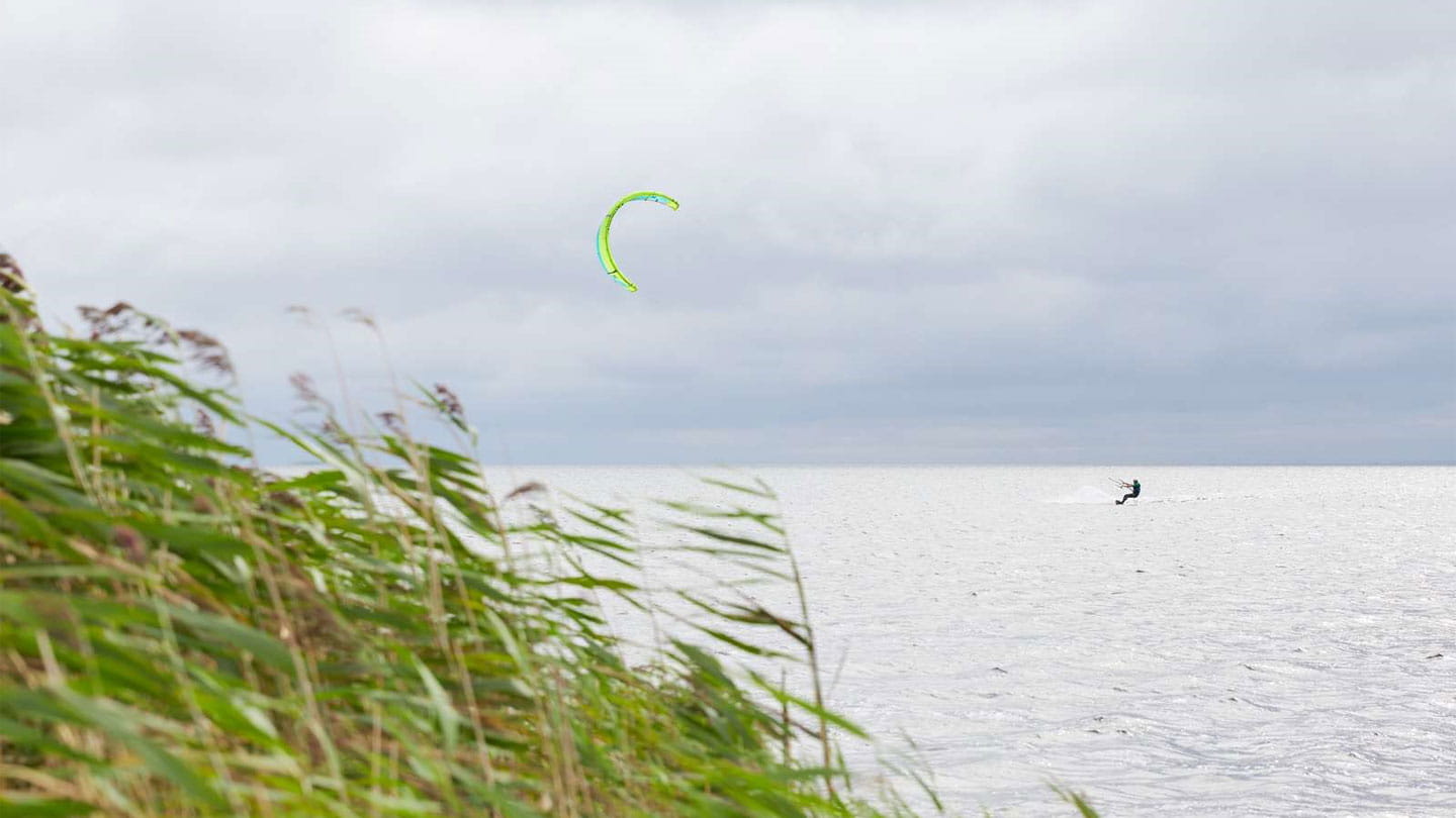 Strandlinje med grønt siv og en kitesurfer ute på vannet.