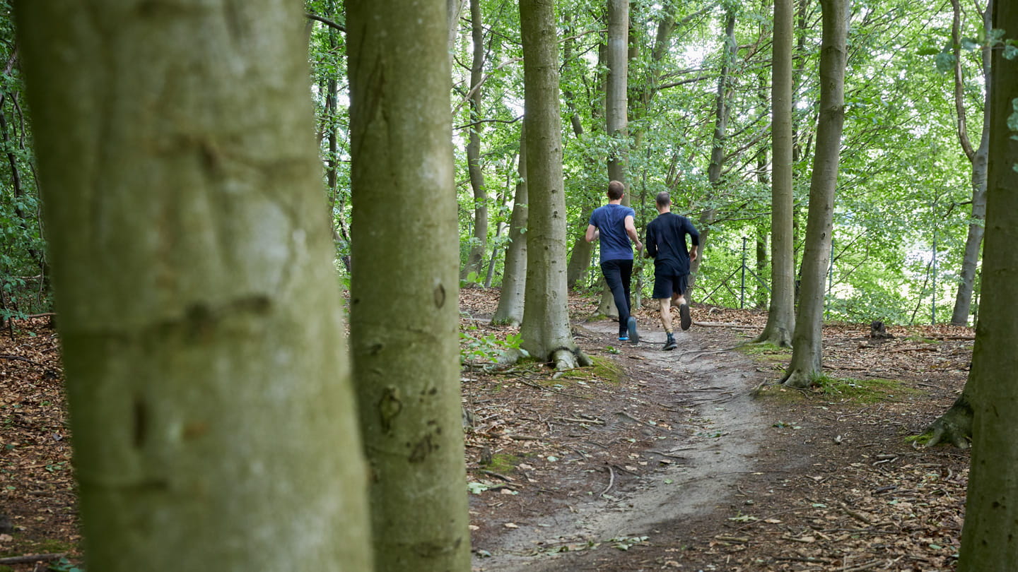 Two men jogging side by side in woods.