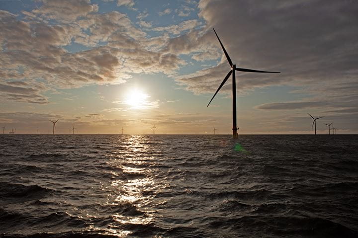 Hornsea 1 turbines in the North Sea