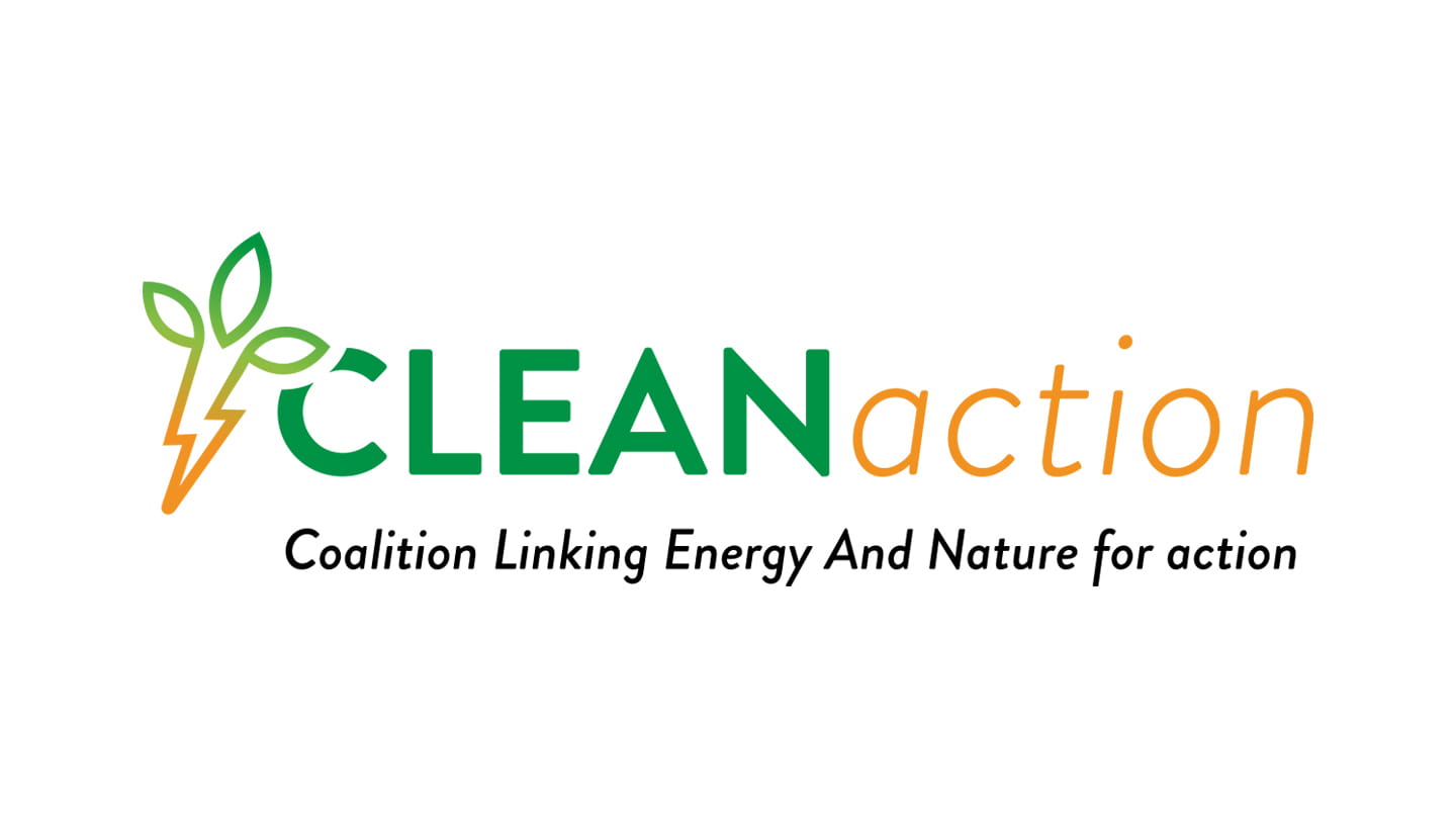 CLEAN action logo