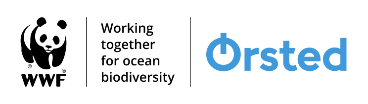 Partnership logo with WWF panda, Ørsted logo, and partnership tagline: Working together for ocean biodiversity