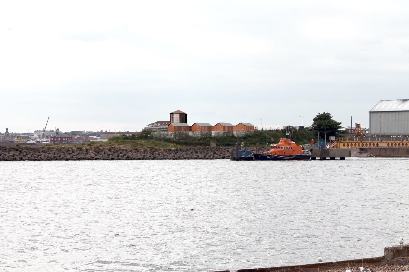 View of the artificial nesting structures from the Town Wall in Hartlepool