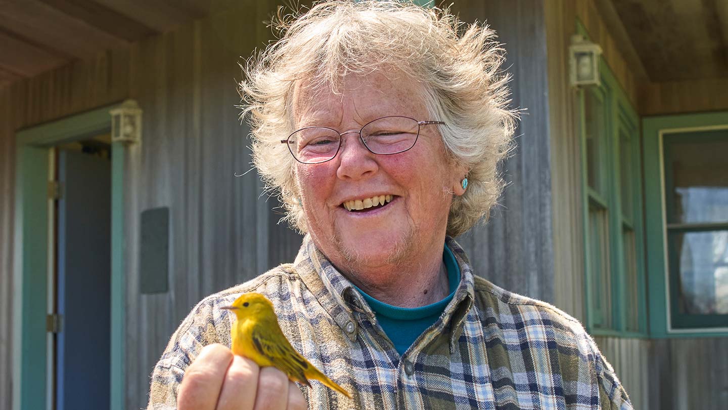 Kim Gaffett, a bird bander on Block Island, tells her story about birds, migration, and offshore wind turbines.