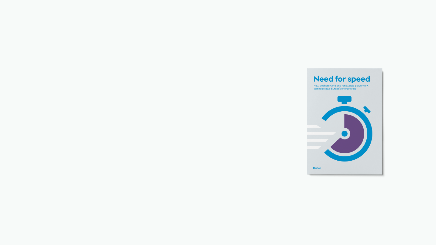 Need for Speed white paper